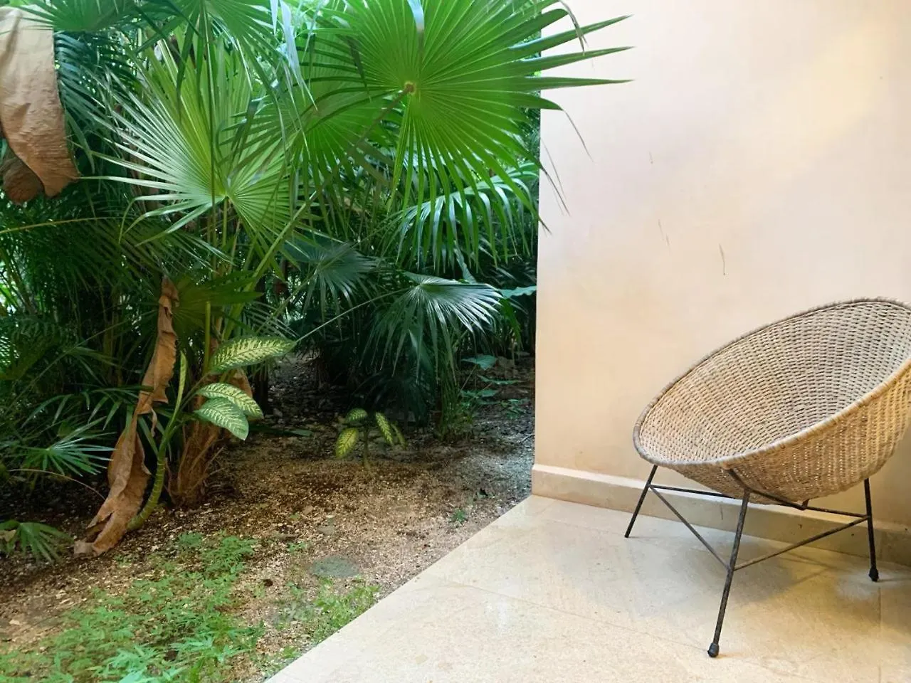 Cacao Tulum Estudio Con Alberca Privada Y Gym Apartment