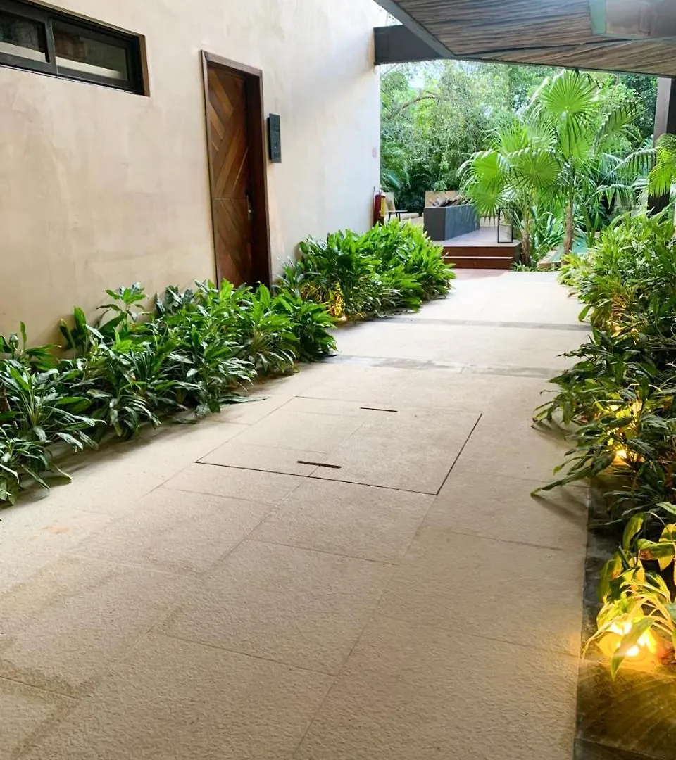 Cacao Tulum Estudio Con Alberca Privada Y Gym Apartment 0*,