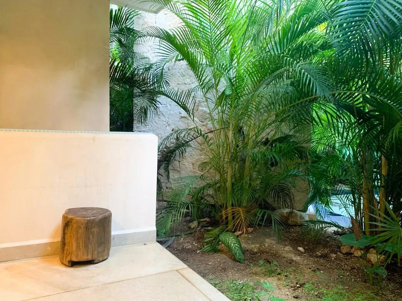 Cacao Tulum Estudio Con Alberca Privada Y Gym Apartment