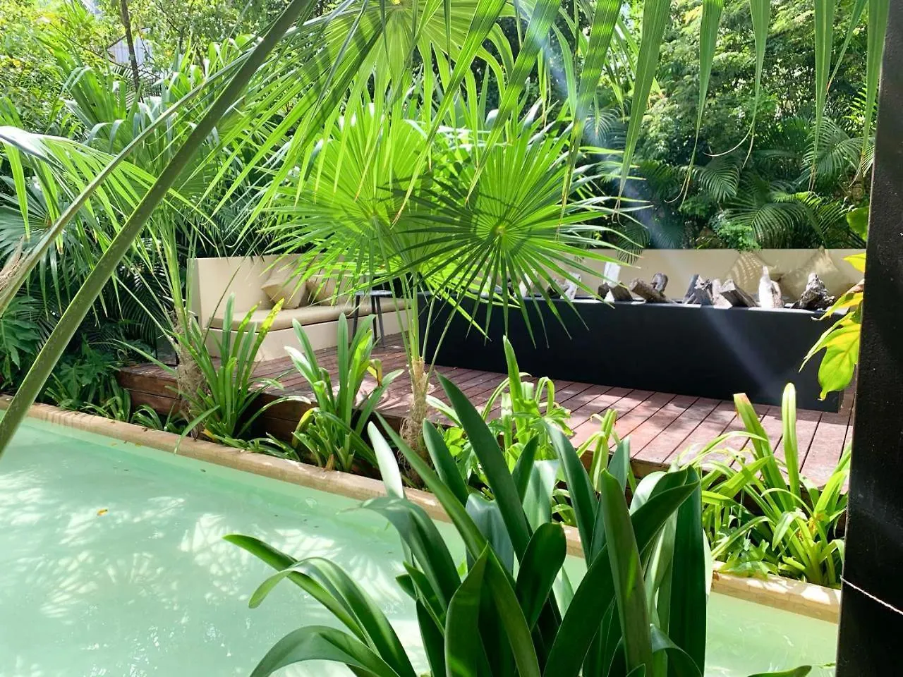 Cacao Tulum Estudio Con Alberca Privada Y Gym Apartment